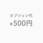 ★オプション代 ＋500円★