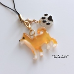 *柴犬くんと肉球（戌）