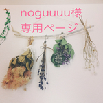▽▼ noguuuu様専用ページ ▼▽