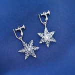 『美しさ、氷結』雪の結晶