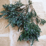 マウンテンジュニパー(プリザーブド）小分け