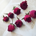 ドライフラワーローズヘッド　大小8輪セット