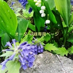 オーダーR様専用ページです(^-^)