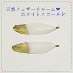 【送料無料】天然フェザーチャーム❤︎W×G