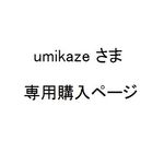 umikazeさま専用購入ページ
