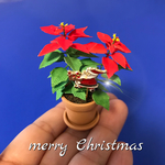 🎄ミニチュアポインセチア   サンタさんのピック付き