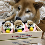 しば牛