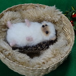 羊毛フェルト　あお向け中なハリネズミ☆