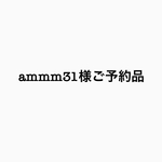 ammm31様専用