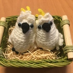 meimay0510さま♡専用注文ページ: アオメキバタンちゃん ペアセット