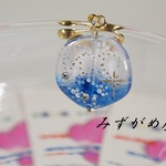 星座のイヤリング(クリスタルとスワロ)水がめ座