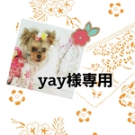 yay様専用カート