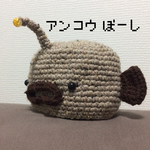 アンコウぼーし