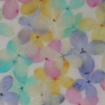 紫陽花　染色花mixアソート。。２０輪　押し花素材