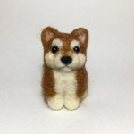  おすわり柴犬