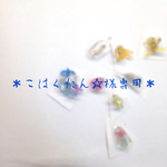こはくたん☆様専用
