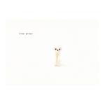 ちっちゃな オコジョ