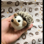 mireさま専用ページ