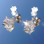 輝く星のピアス〜金属アレルギー対応〜