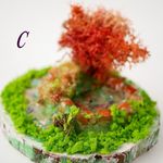 ☆るさま専用欄