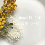 hoppe17さま 専用ページ