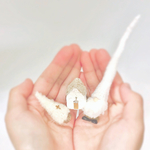 ホワイトクリスマス 三点セット ᔦᔧ