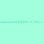 ＊elmonmon620様専用カートです＊