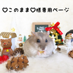 ♡このまま♡様専用ページ