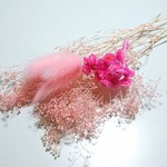 ピンク系カスミ草・ラグラス・イモーテル・使い切り小分けパック