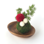  和風アレンジ✳︎苔玉  べにいろ