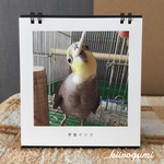 宇宙インコカレンダー2018
