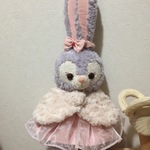 yukkokake様オーダー品ステラルーちゃんお洋服 ケープ付きシュシ付き