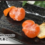 みかんの皮&果実キーホルダー