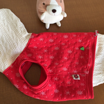 コーギー用パーカ＊クリスマス赤