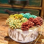 受注制作:樹脂粘土多肉植物寄せ植え風