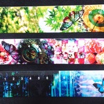 ブックマーカー定規 全3種類 （竹/苺アリス/青蝶）