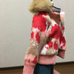 ブライスアウトフィット
