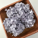 紫陽花 1/2輪分(ラベンダー)