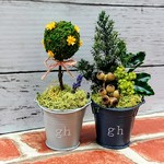 ミニチュアトピアリー2点セット(1)