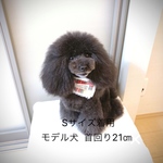 ペット用スヌード（Sサイズ)
