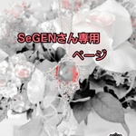 SeGEN様専用ページ