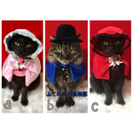 薔薇のブローチ付きフワフワケープ猫ちゃんの首輪