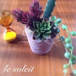 Thanks♥︎100  再販)枯れない多肉ポット magenta
