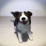 フェルト犬　ボーダーコリー　<MW055>