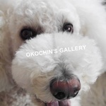 KM様 専用カート(犬 パープル)