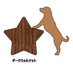 A様注文分☆ラブラドールの星の小箱とスマホスタンド