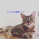 エイミさま専用ページ