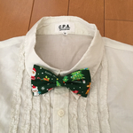 特急オーダー★蝶ネクタイ クリスマス柄 緑