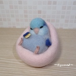 寝落ちインコ･･･zzz　～クッション～【マメルリハ】　　　