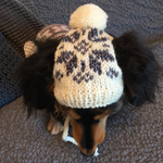 17AW#49 犬用ニット帽